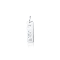 Charm Brand Family in Acciaio 13CH405 - 13CH405